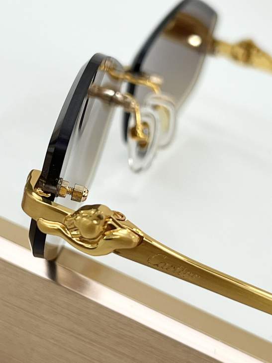 Picture of Cartier Sunglasses _SKUfw79280605fw
